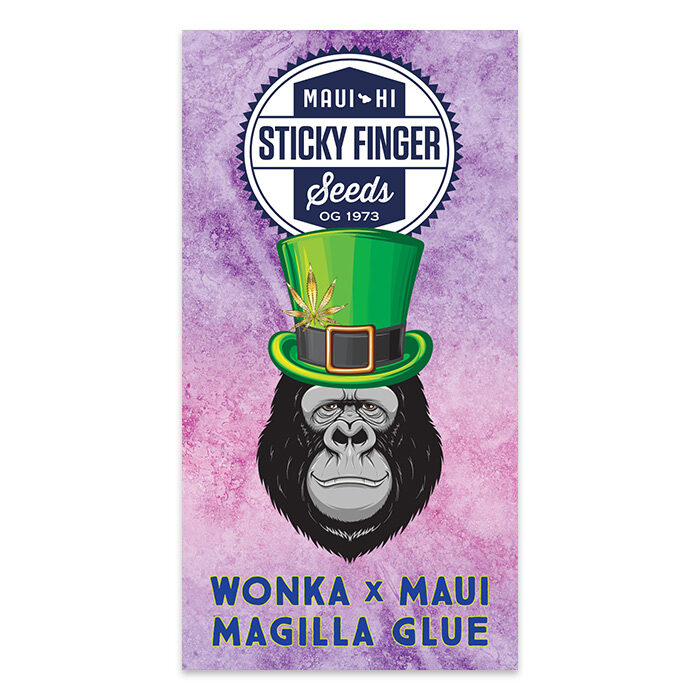 Wonka X Maui Magilla Glue