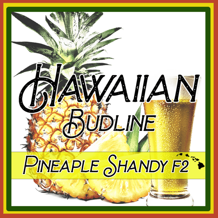 Pineapple Shandy