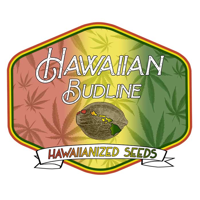 Hawaiian Budline