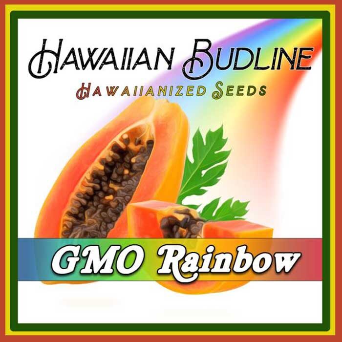 GMO Rainbow