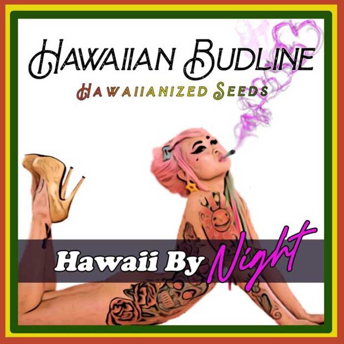Hawaii By Night