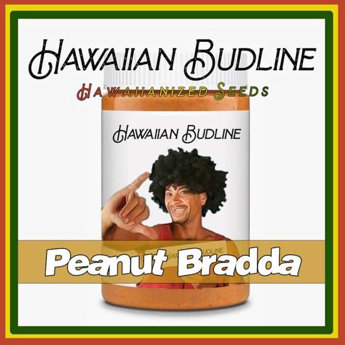 Peanut Bradda