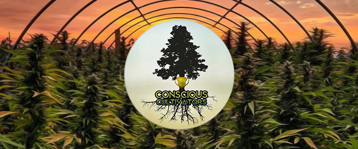 CONSCIOUS CULTIVATORS BANNER MAIN PAGE