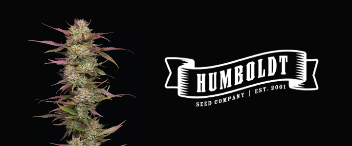 HUMBOLDT SEED COMPANY BANNER MAIN PAGE
