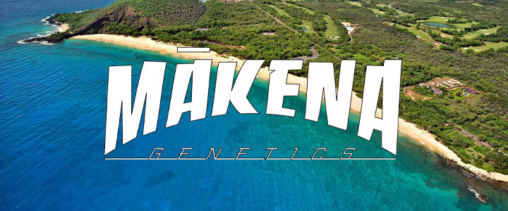 MAKENA COMPANY BANNER MAIN PAGE