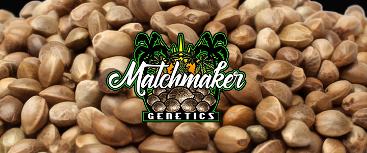 MATCHMAKER COMPANY BANNER MAIN PAGE