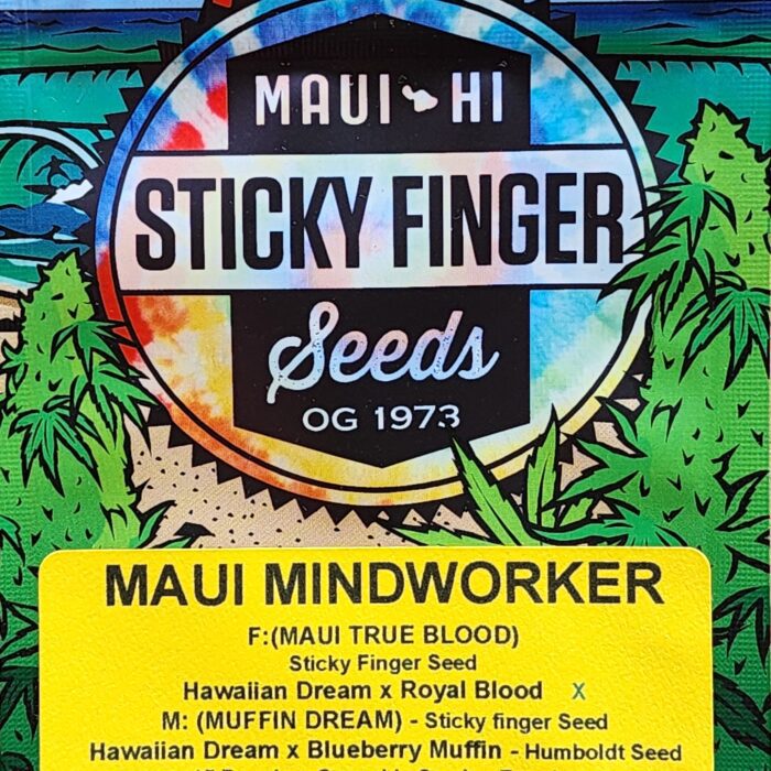 Maui Mindworker