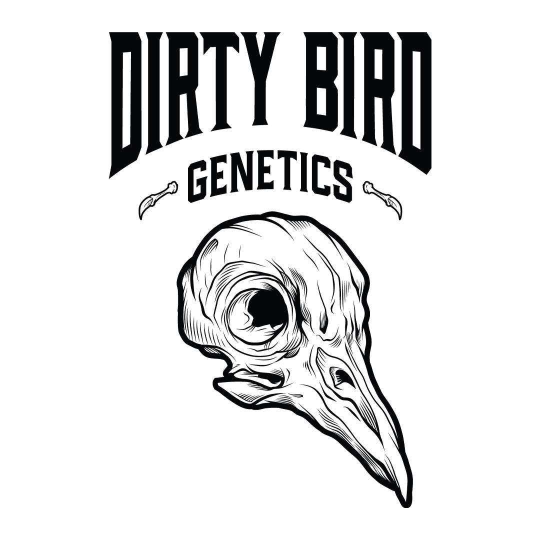 Dirty Bird