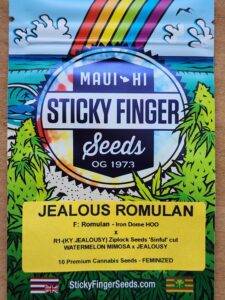 Jealous Romulan (Feminized)