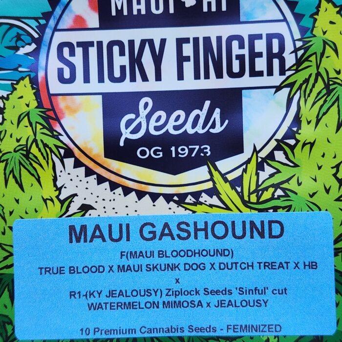 Maui Gashound (Feminized)