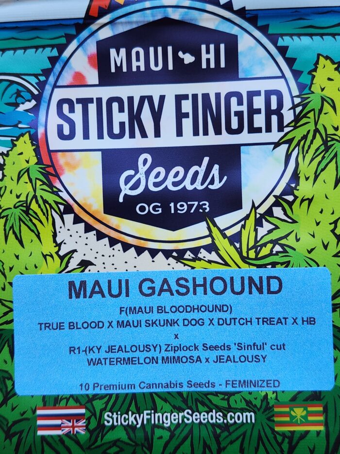 Maui Gashound (Feminized)