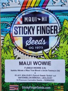 Maui Wowie (Feminized)