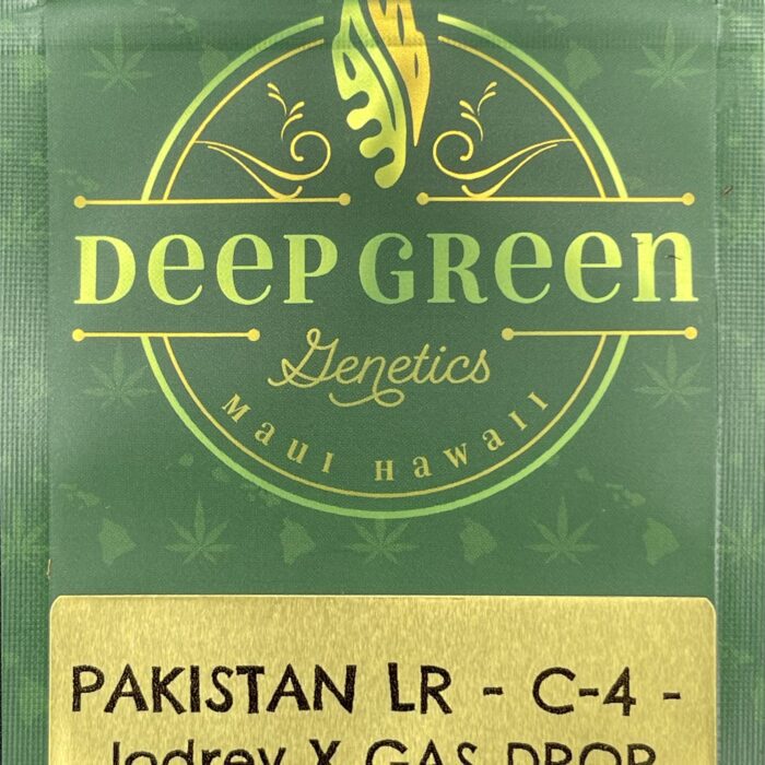 Pakistan LR – C-4 –