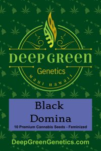Black Domina (Fem)