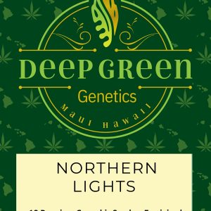 Northern Lights (Fem)