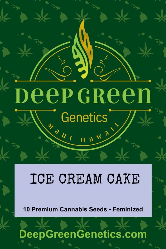Ice Cream Cake (Fem)