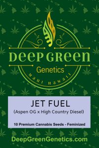Jet Fuel (Fem)