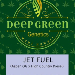 Jet Fuel (Fem)