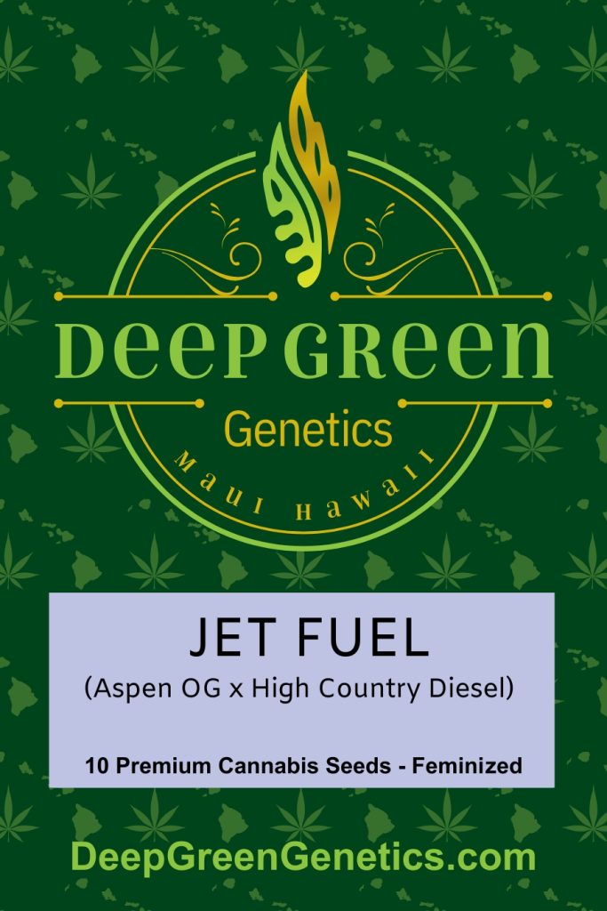 Jet Fuel (Fem)
