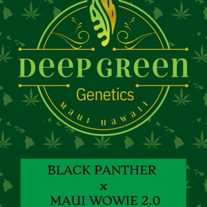 Black Panther x Maui Wowie 2.0 (Fem)