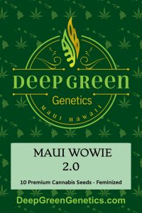 Maui Wowie 2.0 (Fem)