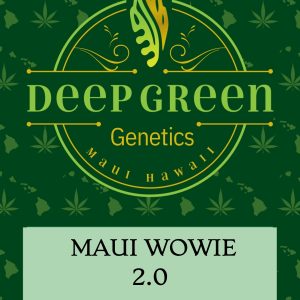 Maui Wowie 2.0 (Fem)