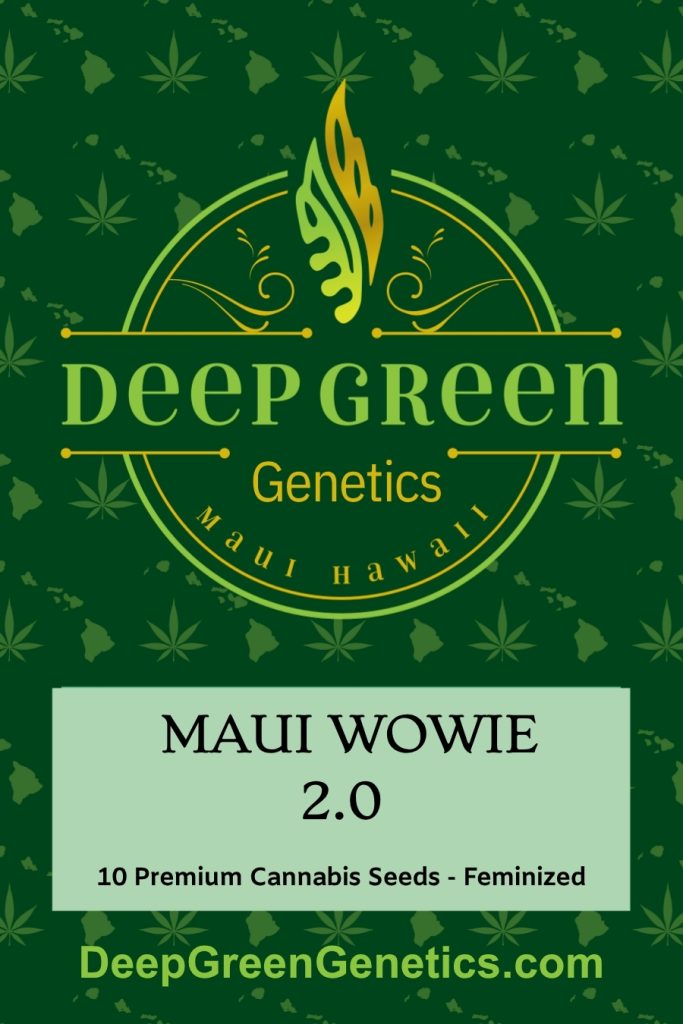 Maui Wowie 2.0 (Fem)
