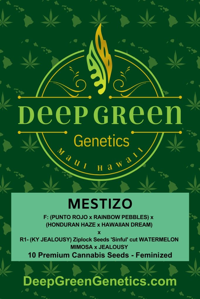 Mestizo (Fem)
