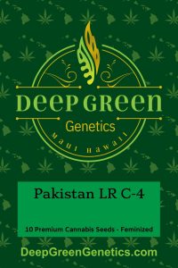 Pakistan LR C-4 (Fem)
