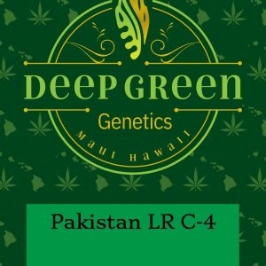 Pakistan LR C-4 (Fem)