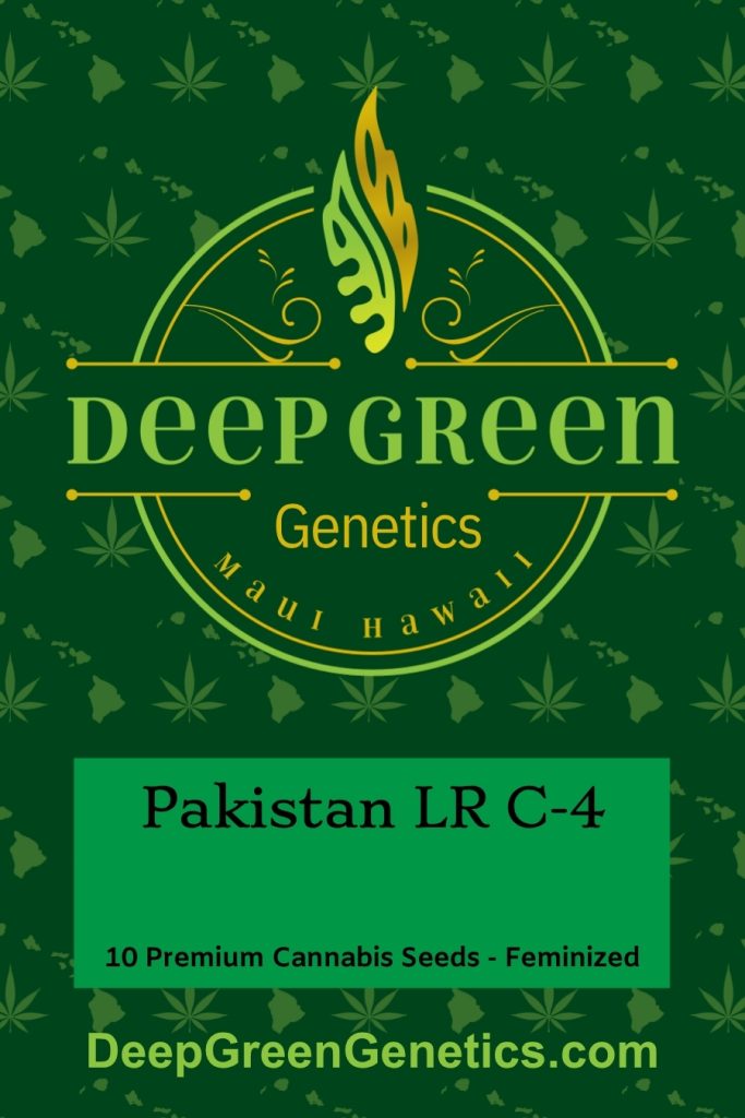 Pakistan LR C-4 (Fem)