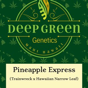 Pineapple Express (Fem)