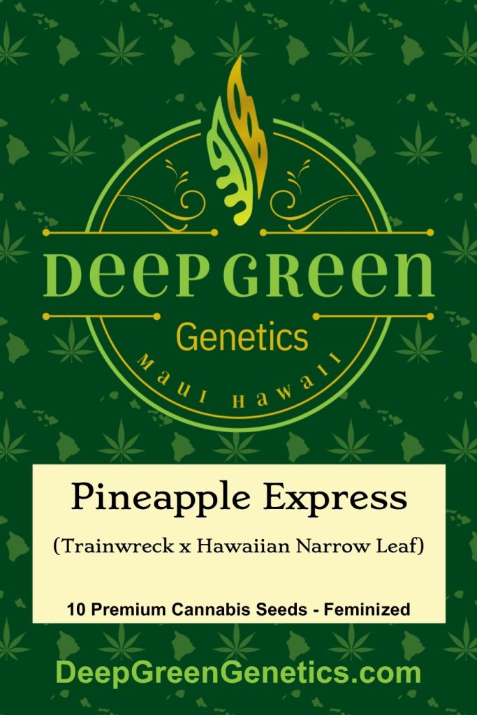 Pineapple Express (Fem)