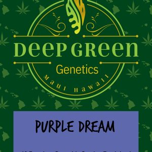 Purple Dream (Fem)