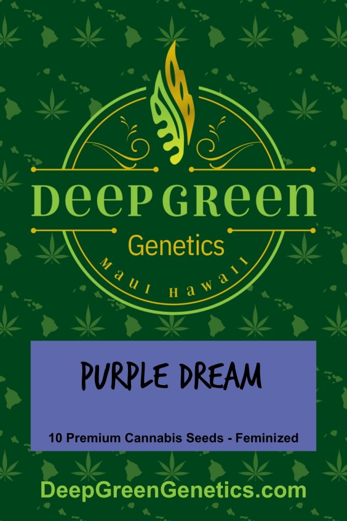 Purple Dream (Fem)