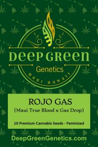 Rojo Gas (Fem)