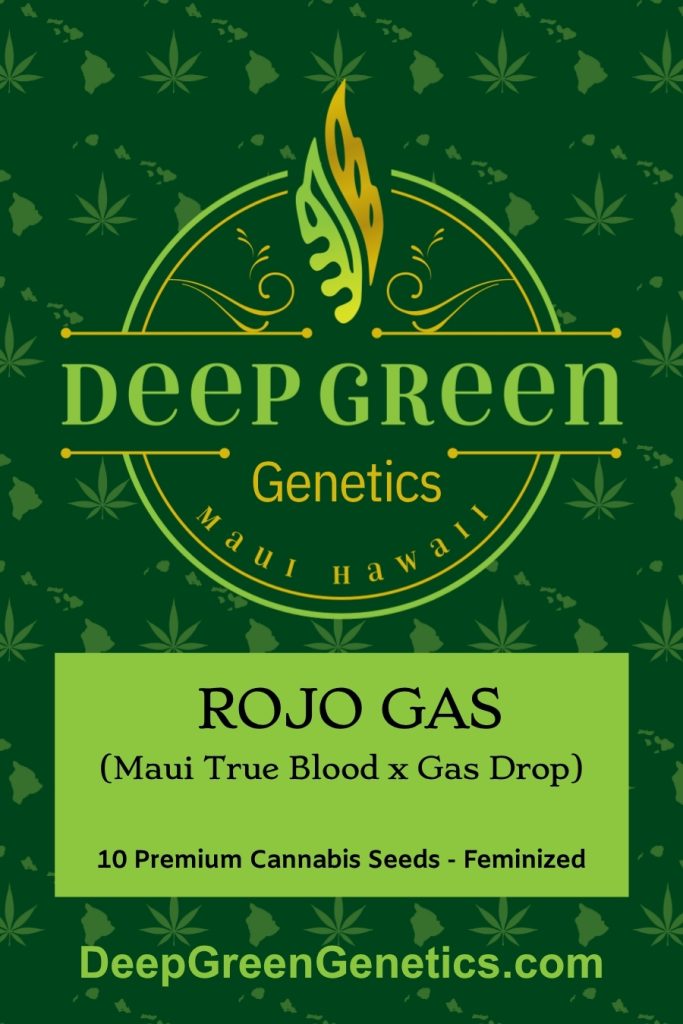 Rojo Gas (Fem)