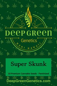 Super Skunk (Fem)