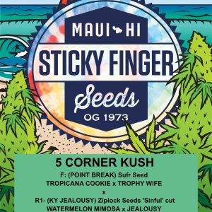 5 Corner Kush (Fem)