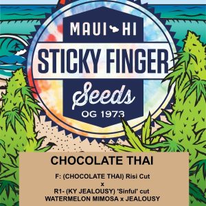 Chocolate Thai (Fem)