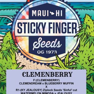 Clemenberry (Fem)