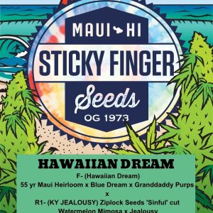 Hawaiian Dream (Fem)
