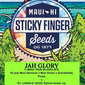 Jah Glory (Fem)