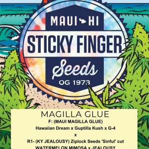 Magilla Glue (Fem)