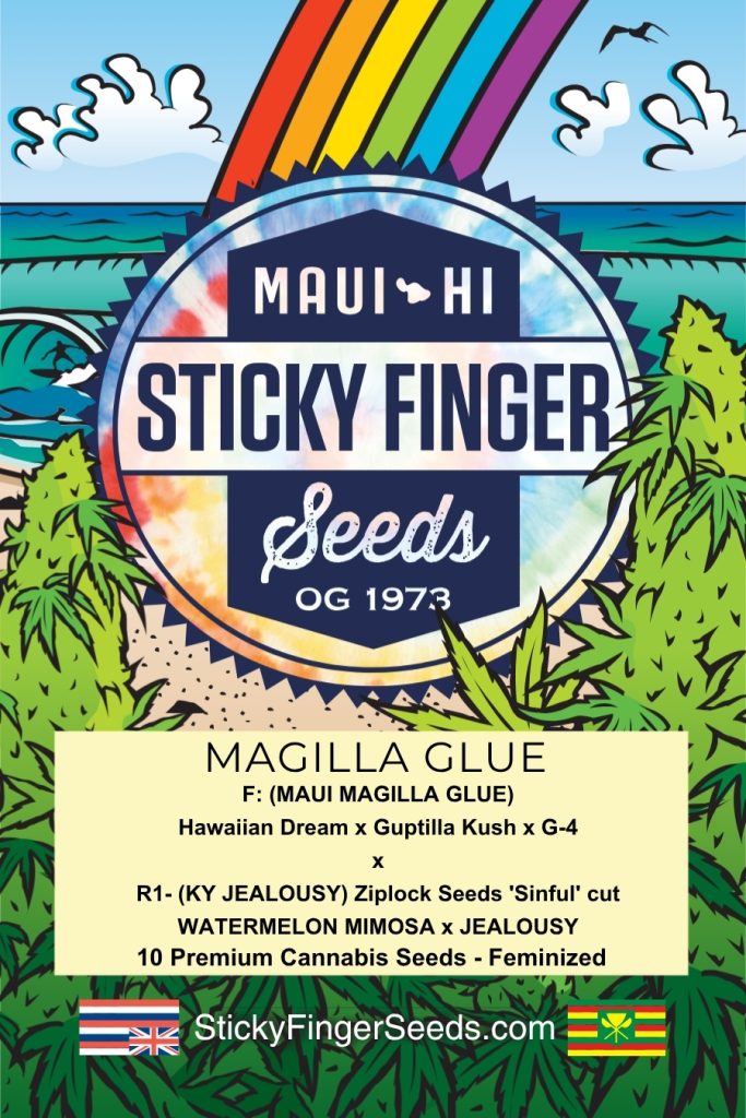 Magilla Glue (Fem)