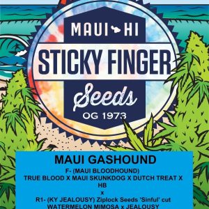 Maui Gashound (Fem)