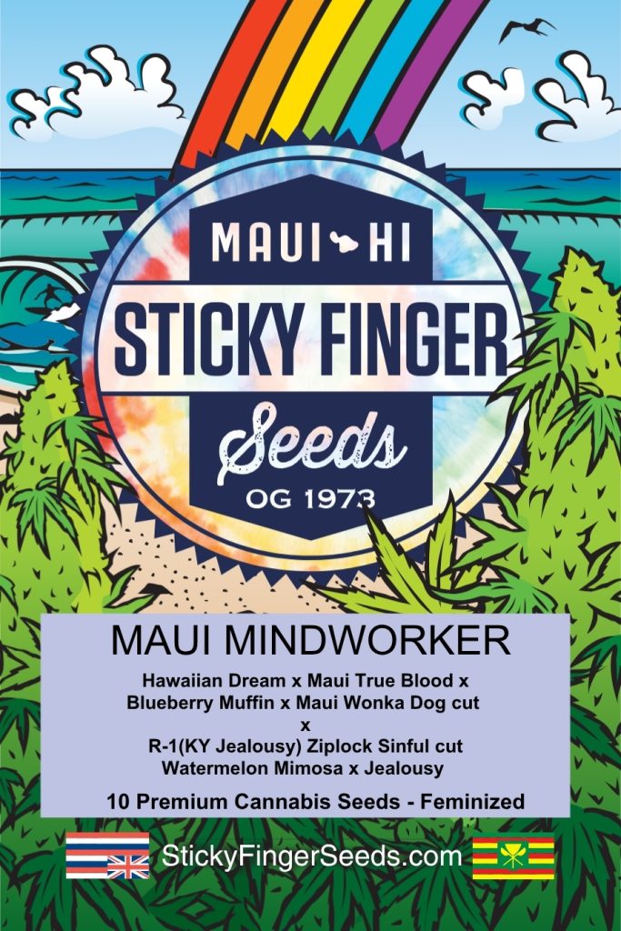 Maui Mindworker (Fem)