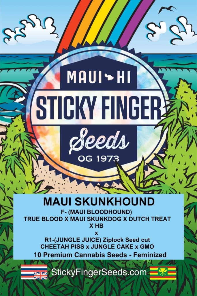 Maui Skunkhound (Fem)