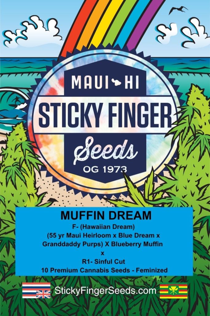 Muffin Dream (Fem)