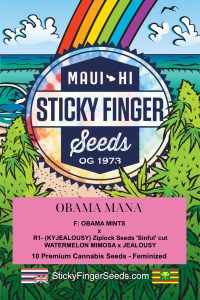 Obama Mana (Fem)